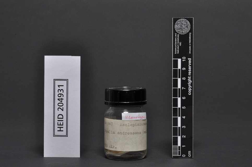 Rauh Ke867 | HEID 204931