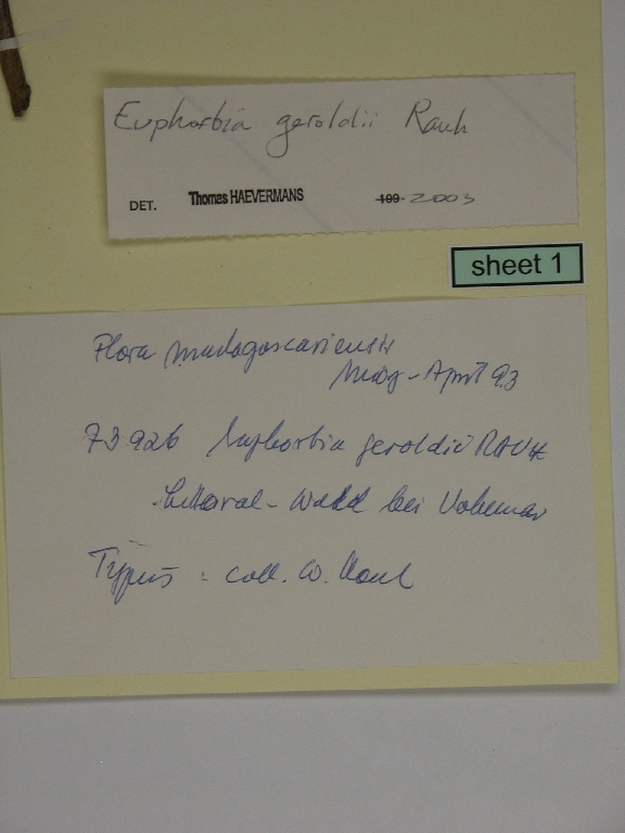 Rauh 73926 | HEID 702506